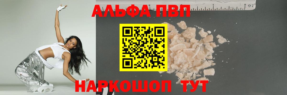 Alfa_PVP СК Сыктывкар