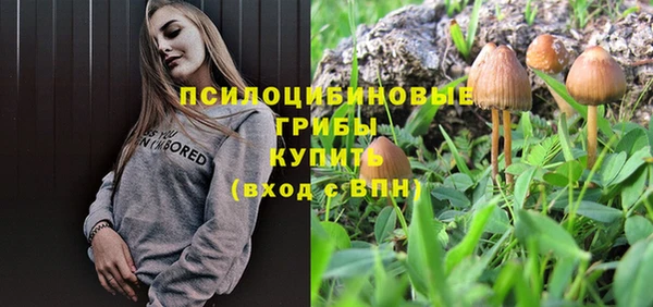 прущие крисы Алексин
