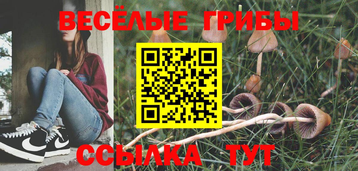 Галлюциногенные грибы мухоморы Сыктывкар
