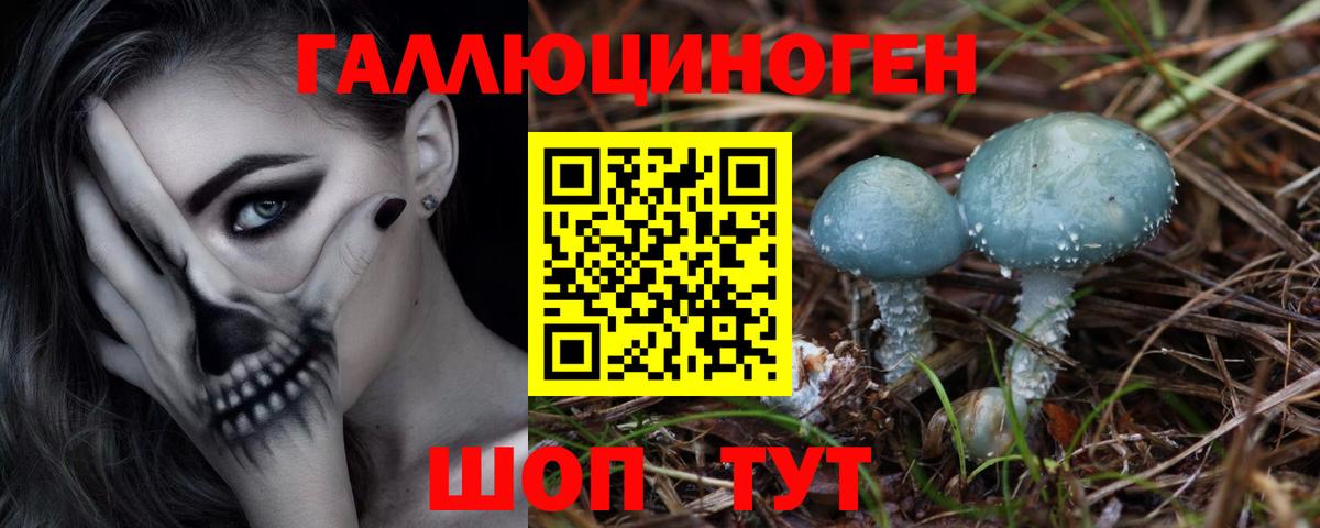 Сыктывкар  Псилоцибиновые грибы мицелий  Вход с VPN 